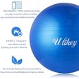 Ballon de Gymnastique Balle d’Exercice Balle Fitness, 65cm Maximale jusqu'à 300 kg, Ballon Gym avec Pompe Antidérapant pour Pilates,-1