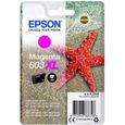 EPSON Cartouche d'encre 603 XL Magenta - Etoile de mer (C13T03A34010)-1