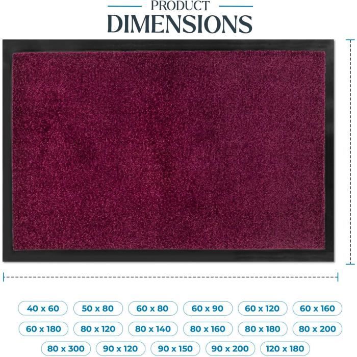 Paillasson Intérieur Lavable 60x110 Cm - Antidérapant, Doux Et Super Absorbant - Pour Entrée, Cuisine, Couloir