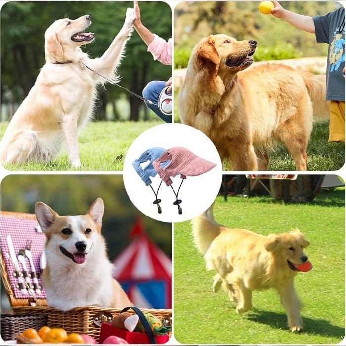 Casquette colorée pour chien - Petits Compagnons