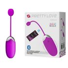 LE COIN COQUIN Oeuf vibrant - LCC® - Connecté - Rose - Contrôle à distance - Rechargement USB