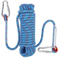 Corde d'escalade,10mm Corde d'alpinisme Polyester,avec Mousqueton de Sécurité,pour Randonnée Alpinisme Montagne(10M)Bleu