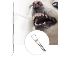 Drfeify Dissolvant de tartre pour animaux de compagnie Grattoir pour enlever tartre de plaque de nettoyage de dents pour chien en