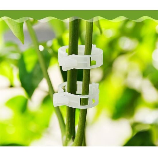 Tuteur Tomate Clips De Support Pour Plantes FAINCA - 300 Pièces | Attaches Tomates, Concombres | Jardinage Et Potager Clips Jardinage Transparents