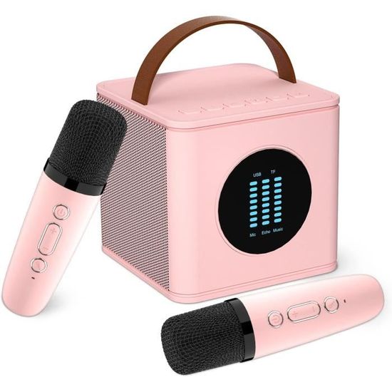 Machine Karaoké Complète Avec 2 Micros Sans Fil - Enceinte Portable Avec Lumières LED - Bluetooth, USB, TWS, AUX, FM - Idéale Pour Fêtes