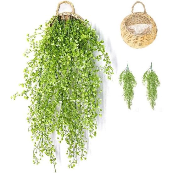 Lot 2 Plantes Succulentes Artificielles Suspendues 30.5cm Floweroyal - Décoration Intérieur Extérieur Noir