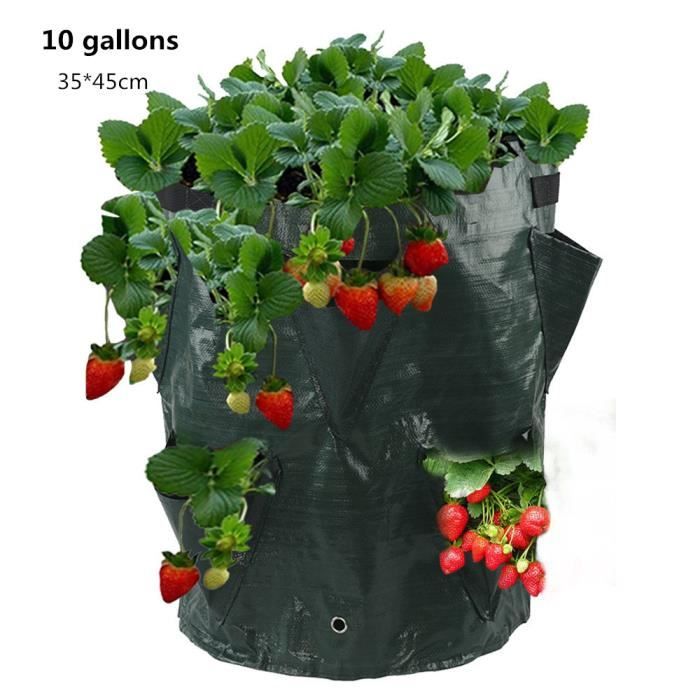 Tour De Fleurs Verticale – Jardinière Intérieur/extérieur Pour Plantes, Herbes, Fraises – 84 Cm, Système D’arrosage Intelligent