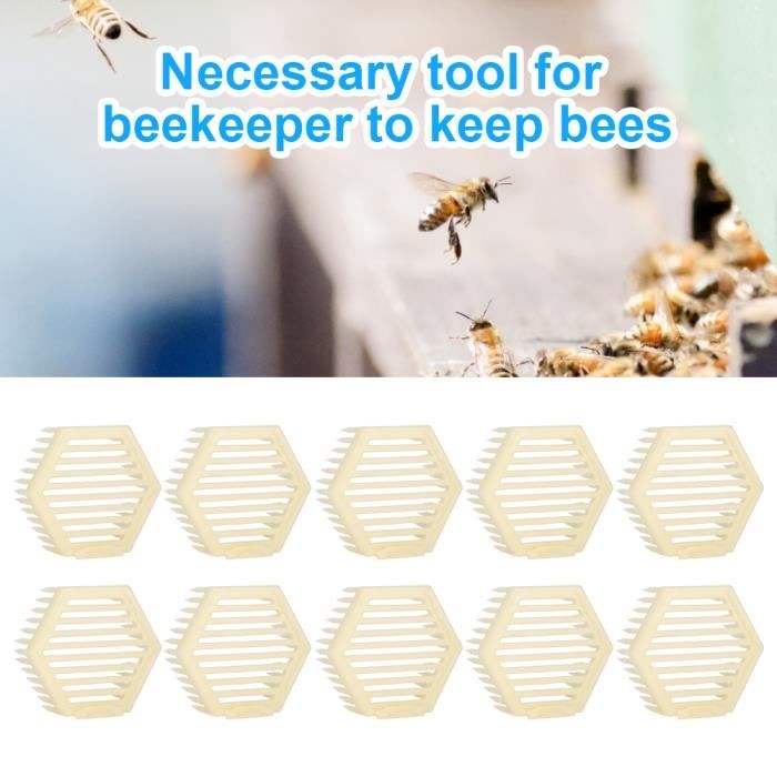 Cages Reine Abeille - Lot De 5 Plastique Apiculture