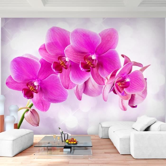 Papier Peint - Orchidée 200x250cm - Intissé main image 1