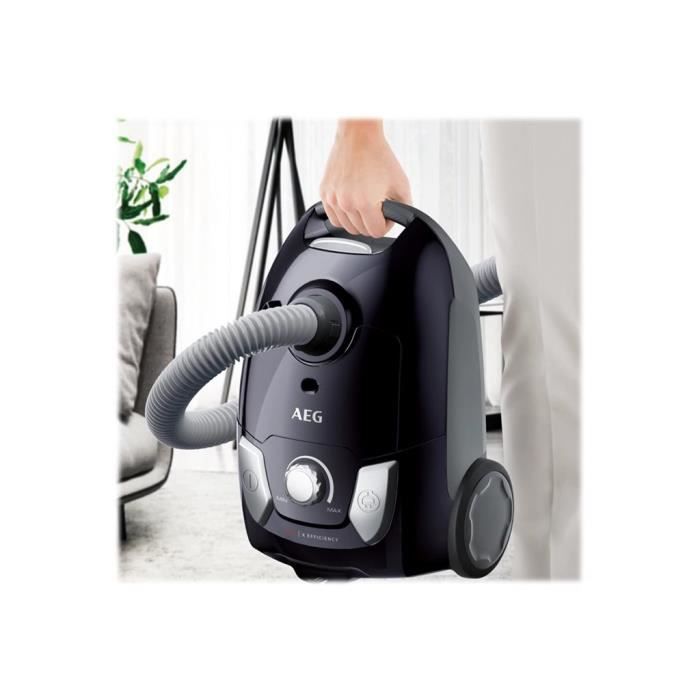 Sac aspirateur hotsell aeg vx4