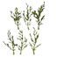F140444 Stand Forain Pommes Frite Mod/élisme Faller