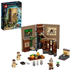 ASSEMBLAGE CONSTRUCTION LEGO 76384 Harry Potter Poudlard : Le Cours de bot