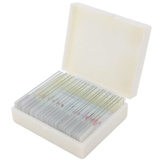 AmScope PS25P 25 vidrio preparado microscopio diapositivas con caja de plástico AmScope PS25P 25 vidrio preparado microscopio diapositivas con caja de plástico