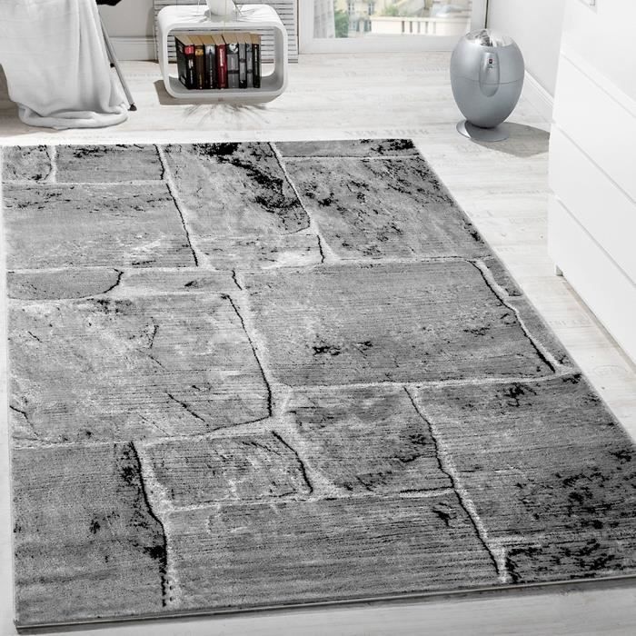 Tapis Design Moderne Tendance Chiné Optique Mur De Pierre Salon Gris [60x100 cm]