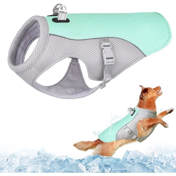 Gilet de Refroidissement - Chien - XXXL - Maille Respirante - Réglable - Protection Contre la Chaleur COSTUME