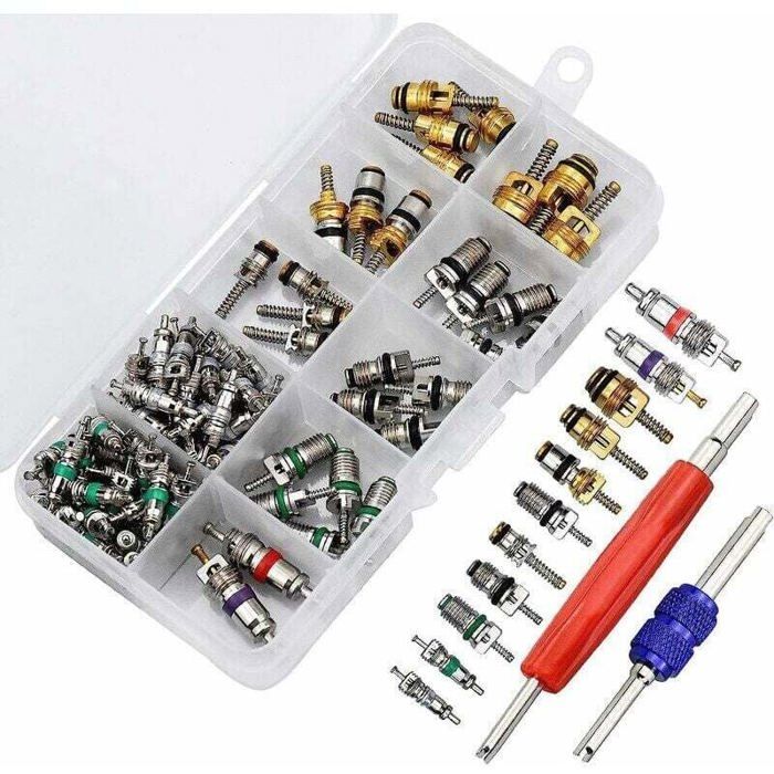 102pcs Noyau de Valve de Climatisation R134A Noyaux de Tige de Soupape de Climatisation Automobile avec Outil de Suppression pour