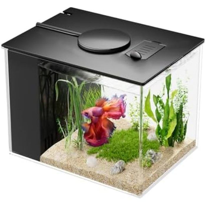 Petit Aquarium Complet 3 7L Aquarium Betta en Acrylique avec Pompe de Filtration et éclairage LED Idéal pour Les Petits N ECLAIRAGE