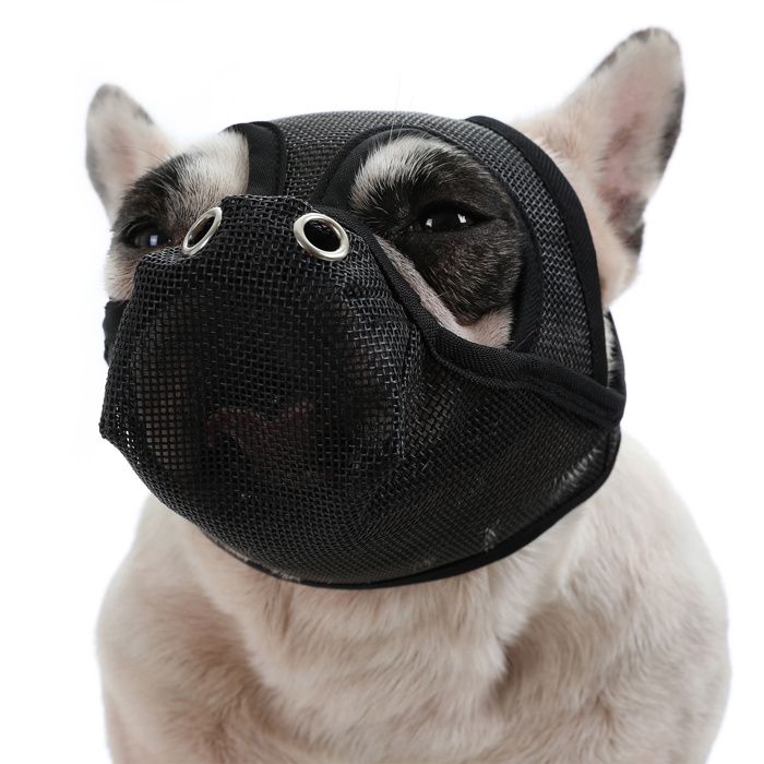 1 Muselière en maille respirante sangle réglable pour chiens à museau court prévention morsure .