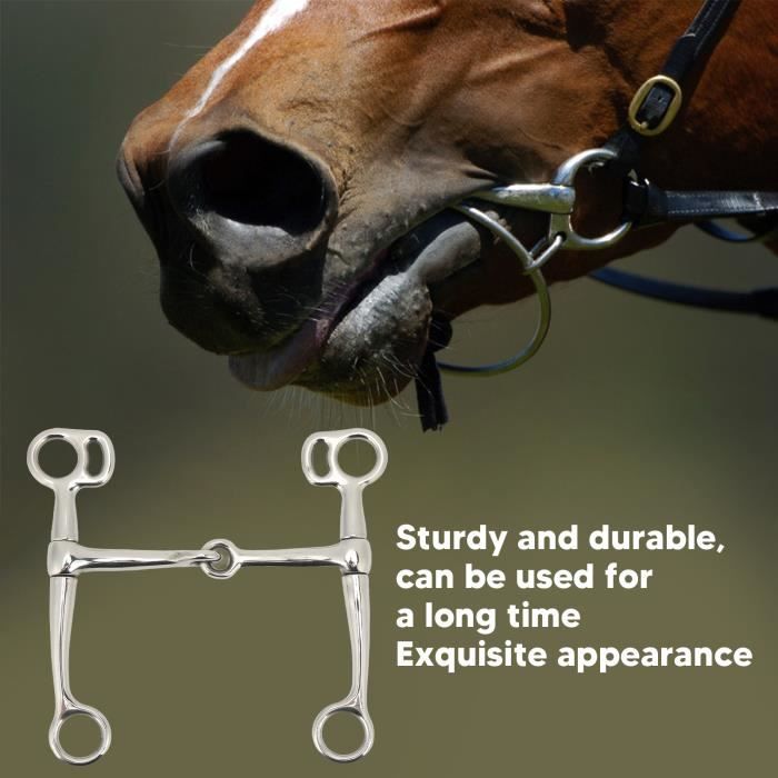 Mors De Cheval Showman En Acier Inoxydable Avec Joues 8 Pouces - Pour Cheval De Marche - Neuf