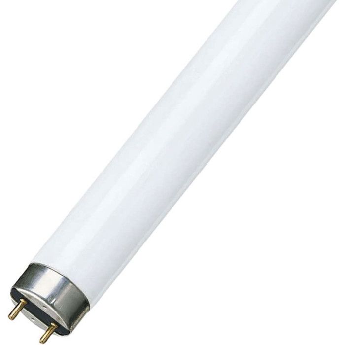 Neon Led 120 Cm Tube LED Noxion T8 120cm - 15W, 1800lm, 6500K Lumière Jour - Équivalent 36W, Non Dimmable éclairage Led 15w
