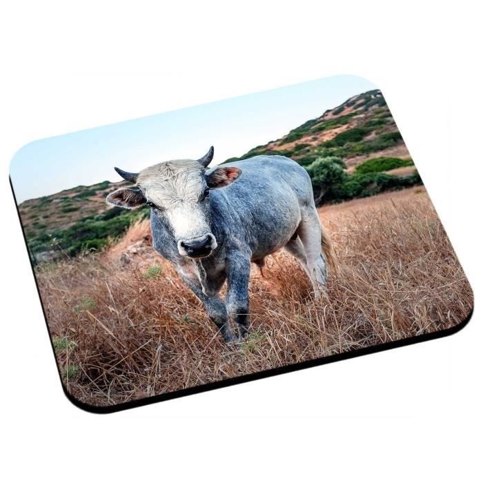Tapis De Souris La Vache Est Dans Le Pres Cdiscount Maison Tapis De Souris La Vache Est Dans Le Pres Cdiscount Maison