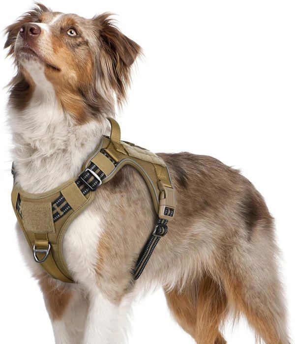 Meilleurs prix pour Harnais Chien Anti Traction, Harnais Tactique Chien Réfléchissant Réglable avec Poignée et Anneaux pour Entraînement Chasse