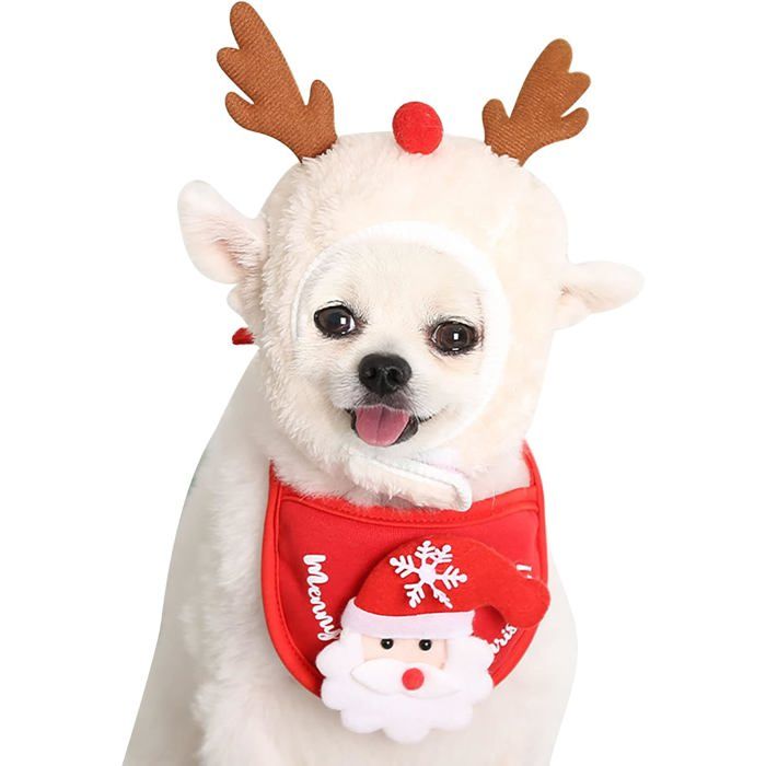 Costume De Noël Pour Chien Et Chat - Lot De 2 : Bonnet Et écharpe Rouges - Taille Ajustable - Idéal Pour Photos De Fêtes - 8