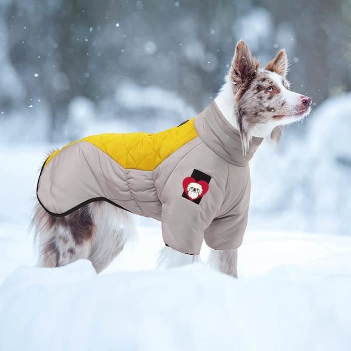 Manteau neige chien 2025
