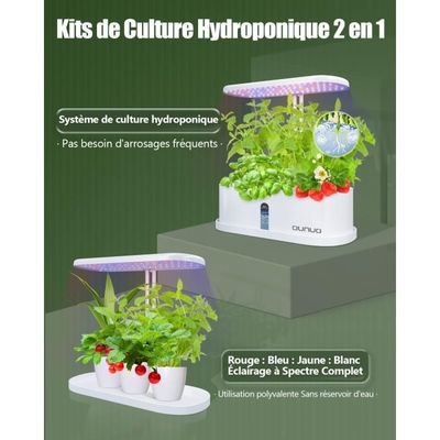 jardinière hydroponiques pour culture hors sol des orchidées et potager d' intérieur