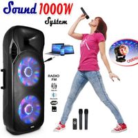 Sono + Jeu de Lumière - Karaoké Enceinte 1000w portable et autonome + batterie et 2 Micros sans fil - BLUETOOTH USB RADIO FM