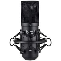 Bird UM1 Noir - Microphone USB Cardioïde à Condensateur PC et Mac pour Broadcast et Enregistrement Streaming, Podcasting,