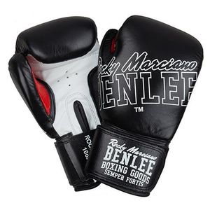 Everlast 1100 14 oz Gants de Boxe musculation des pectoraux mixte adulte Rouge 30 cm