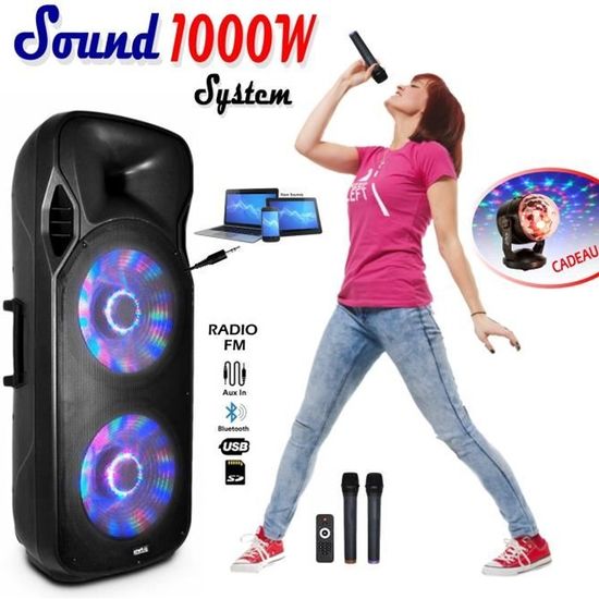 gef-roy - Sono Enceinte 1000W - Mobile Karaoké Autonome sur Batterie  Bluetooth USB SD PC - 2 Microphones, 2 Lumières OVNI - Retours de scène -  Rue du Commerce