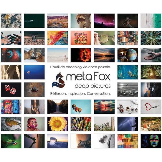 Allemand metaFox Fresh Perspectives cite des cartes postales 52 cartes de motivation pour vous inspirer 
