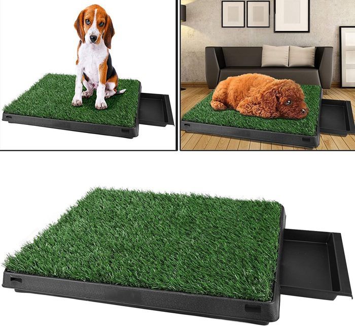 Sailnovo Toilette Portables pour Chiens à Pelouse Synthétique, Bac à Litière Intérieur Domestiques Tapis d’herbe, 63 x 50 cm