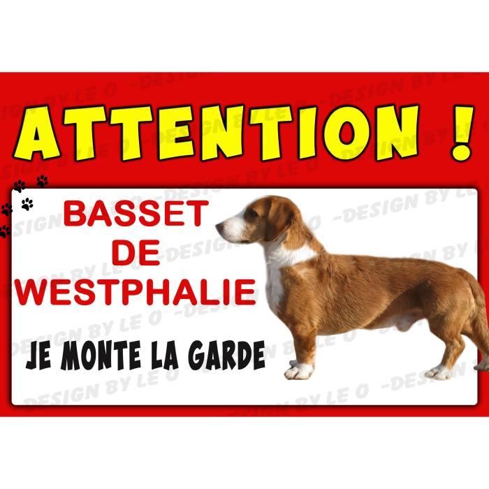 AFFICHE PLASTIFIÉE ATTENTION AU CHIEN 21x30 cms BASSET DE WESTPHALIE ANIMAUX DOG HUND