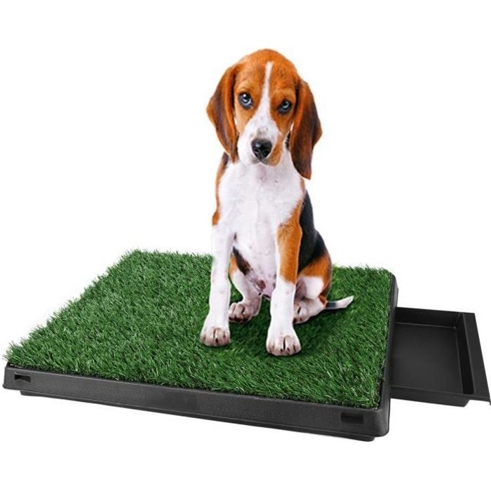 toilette portables pour chiens à pelouse synthétique, bac à litière intérieur domestiques tapis d’herbe, 63 x 50 cm