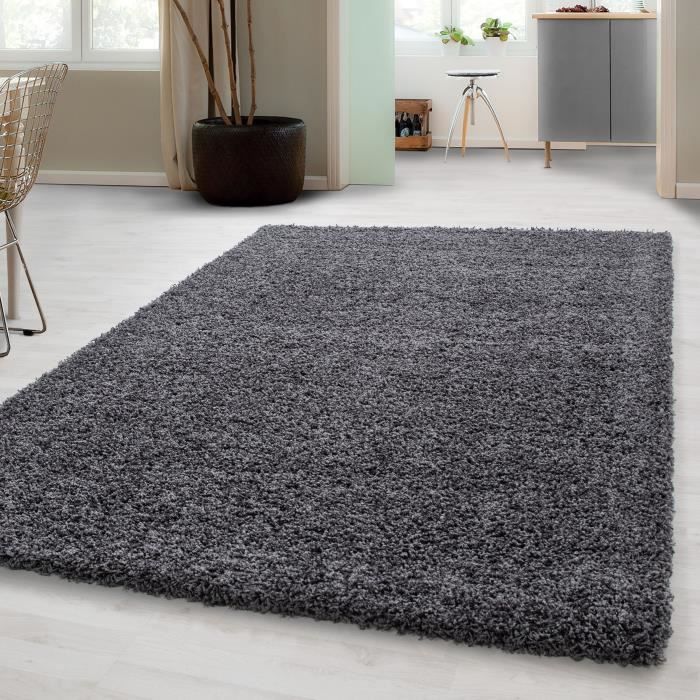 tapis shaggy haute pile pour salon salle a manger chambre avec une hauteur de pile de 3 cm gris o 120 cm rond cdiscount maison