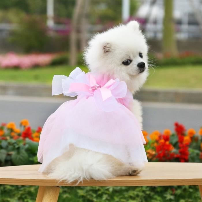 Robe pour chien mariage online