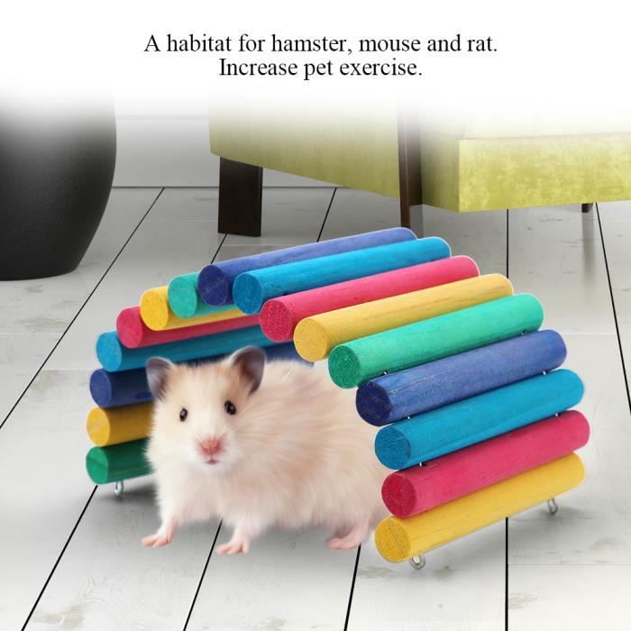 Lot De 2 Pierres à Ronger Minérales Pour Hamster, Cochon D'Inde, Chinchilla - Aide à User Les Dents Naturellement