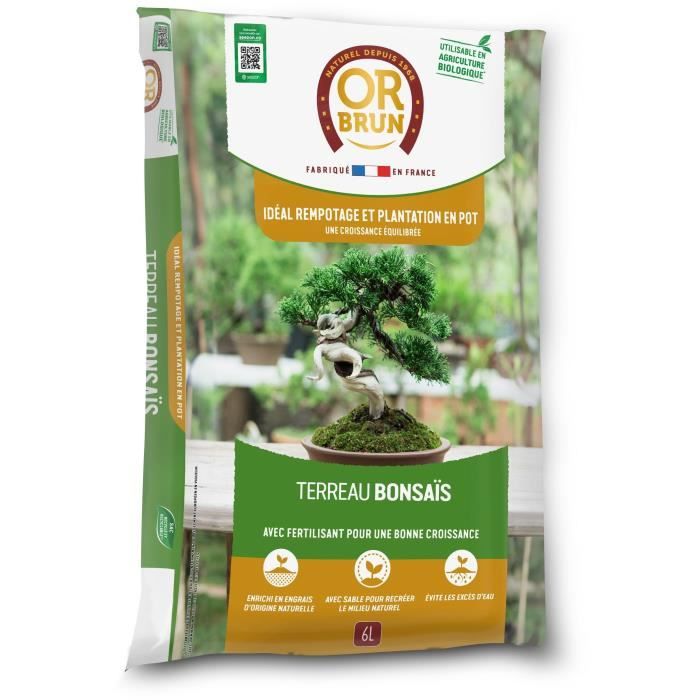 Terreau bonsas - OR BRUN - OBRTBON6U - 6L - Meilleur enracinement -  Cdiscount Jardin