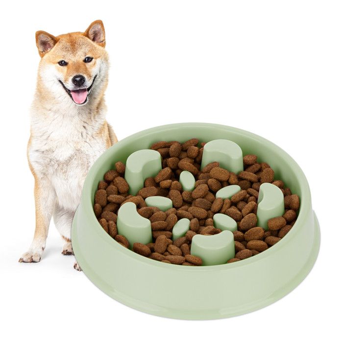 Meilleurs prix pour Gamelle anti-glouton 600 ml - 10043295-53