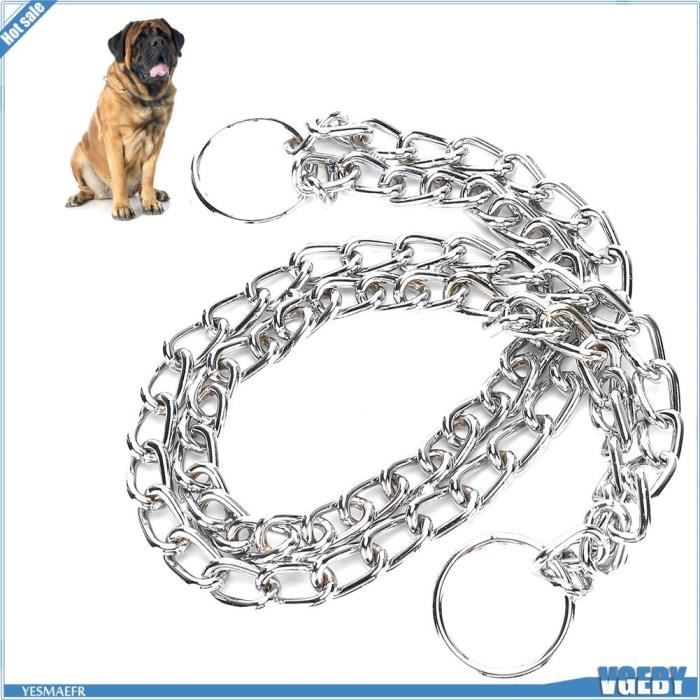Collier De Chien Personnalisé En Acier Inoxydable, Chaîne Pour Animaux