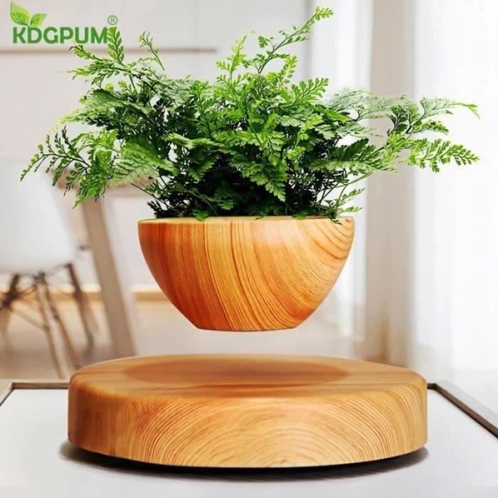 Pot de bonsaï en l'air pour plantes d'intérieur, jardinière de