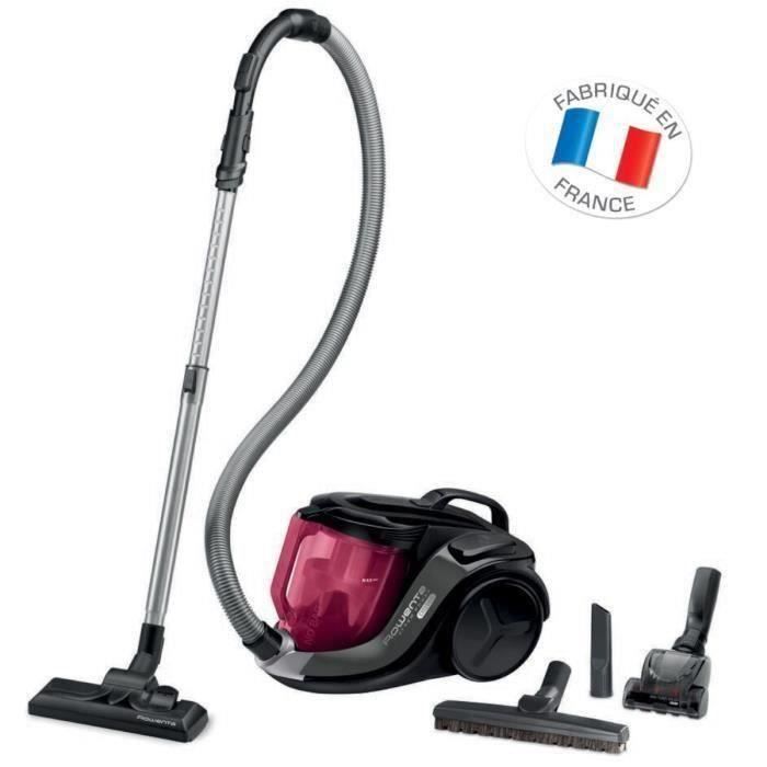 Aspirateur rowenta ro6993ea online