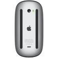 Apple Magic Mouse - Surface Multi-Touch - Noir-2