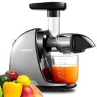 AMZCHEF- Gris - Extracteur de Jus de Fruits et Légumes - Presses-agrumes à Froid sans BPA