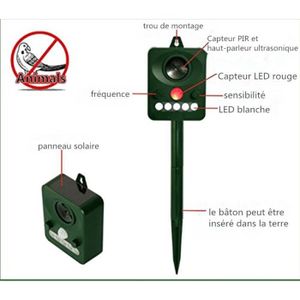 50pcs 12V Diode Ampoule LED Diodes Lumi/ères Diffus/ées Multi-Couleurs avec C/âble,LED Diode Electroluminescente C/âbl/é DC 9-12 V 3//5//10mm 5mm-Bleu