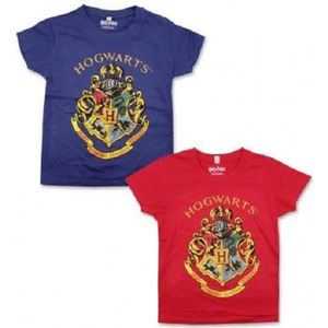 T-SHIRT T-shirt Harry Potter bleu