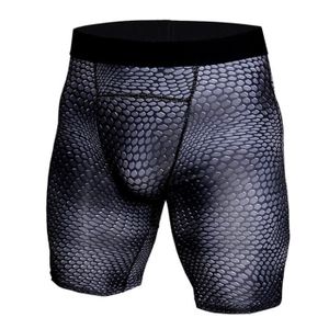 SHORT DE SPORT Short,Collants de marque pour hommes, Shorts courts de Compression, Fitness, musculation, s courts, gym - Snake[A1000]
